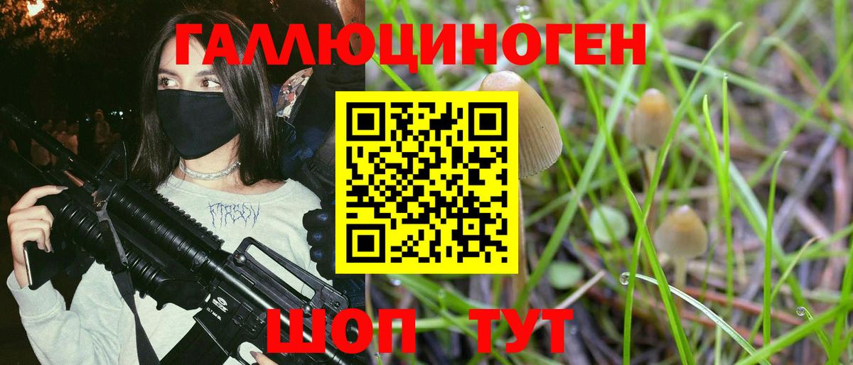 Галлюциногенные грибы Psilocybine cubensis Орёл