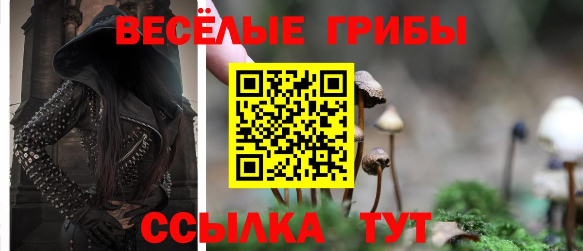 цена наркотик  Вход с VPN  Орёл  Псилоцибиновые грибы прущие грибы 