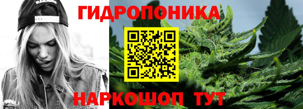 Орёл  Шишки марихуана конопля  Шишки марихуана LSD WEED  Вход с VPN  МАРИХУАНА VHQ 